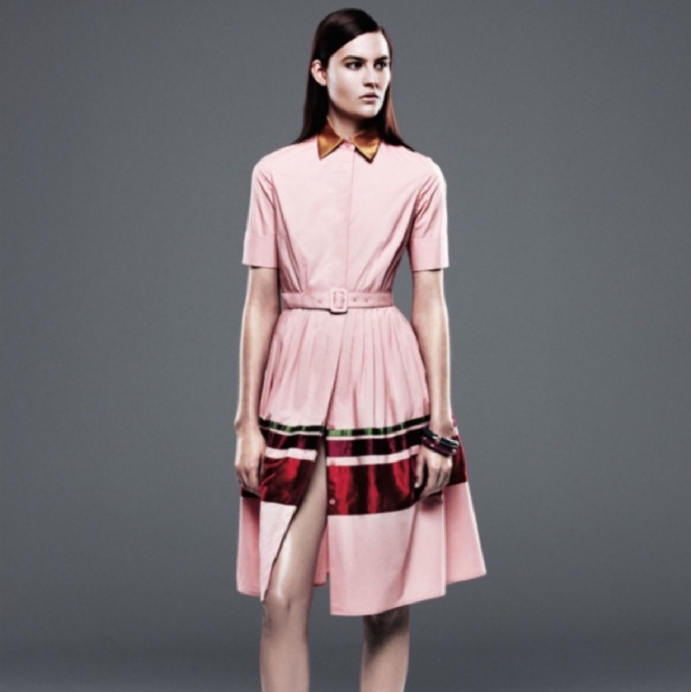 SALE: The Limited dress